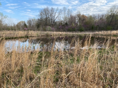 512+/- Acre Meadow Creek Farm For Sale in Central KY - image 29