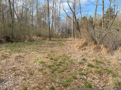 512+/- Acre Meadow Creek Farm For Sale in Central KY - image 37