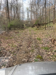 512+/- Acre Meadow Creek Farm For Sale in Central KY - image 41