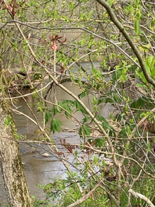 512+/- Acre Meadow Creek Farm For Sale in Central KY - image 18