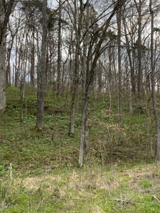 512+/- Acre Meadow Creek Farm For Sale in Central KY - image 22