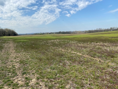 512+/- Acre Meadow Creek Farm For Sale in Central KY - image 10