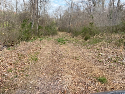 512+/- Acre Meadow Creek Farm For Sale in Central KY - image 16