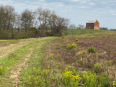 512+/- Acre Meadow Creek Farm For Sale in Central KY - image 1