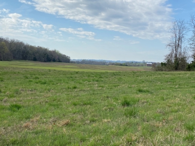 512+/- Acre Meadow Creek Farm For Sale in Central KY - image 24