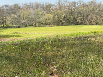 512+/- Acre Meadow Creek Farm For Sale in Central KY - image 8