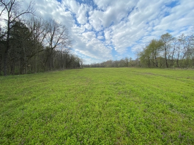 512+/- Acre Meadow Creek Farm For Sale in Central KY - image 21