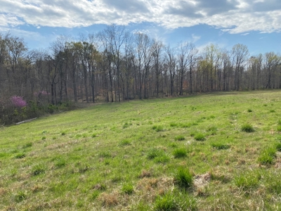 512+/- Acre Meadow Creek Farm For Sale in Central KY - image 11