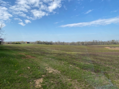 512+/- Acre Meadow Creek Farm For Sale in Central KY - image 9