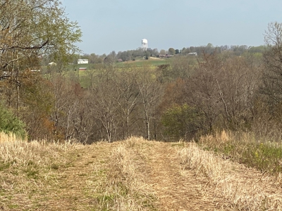512+/- Acre Meadow Creek Farm For Sale in Central KY - image 32
