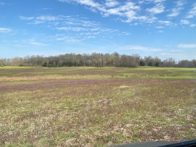 512+/- Acre Meadow Creek Farm For Sale in Central KY - image 6