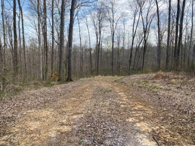 512+/- Acre Meadow Creek Farm For Sale in Central KY - image 27