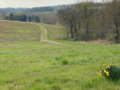 512+/- Acre Meadow Creek Farm For Sale in Central KY - image 3