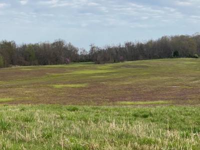 512+/- Acre Meadow Creek Farm For Sale in Central KY - image 4
