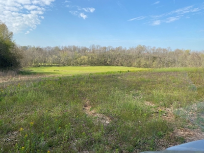 512+/- Acre Meadow Creek Farm For Sale in Central KY - image 5