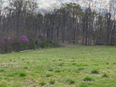 512+/- Acre Meadow Creek Farm For Sale in Central KY - image 23