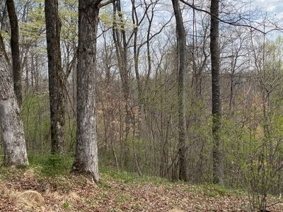 512+/- Acre Meadow Creek Farm For Sale in Central KY - image 13