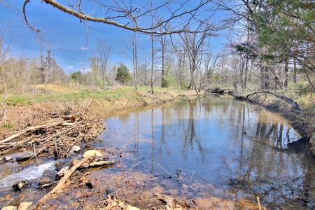 Beautiful Farm in the Ozarks - image 39