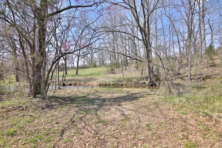Beautiful Farm in the Ozarks - image 45