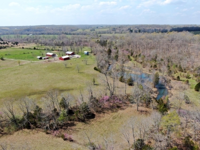 Beautiful Farm in the Ozarks - image 1