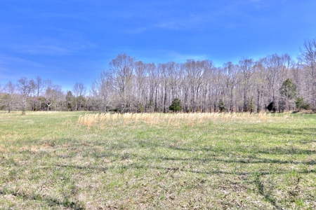 Beautiful Farm in the Ozarks - image 32