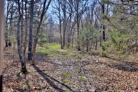 Beautiful Farm in the Ozarks - image 35