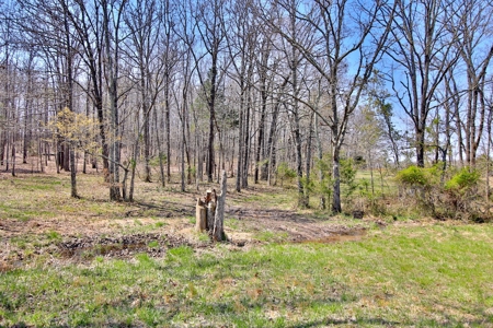 Beautiful Farm in the Ozarks - image 33