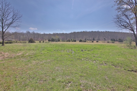Beautiful Farm in the Ozarks - image 46
