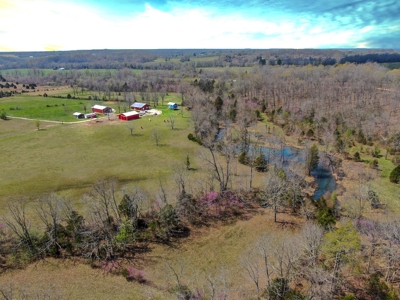 Beautiful Farm in the Ozarks - image 3