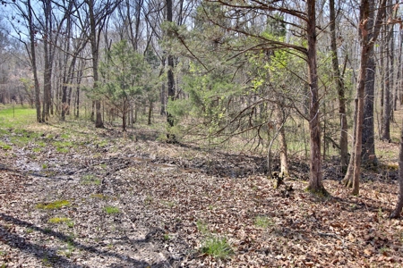 Beautiful Farm in the Ozarks - image 34