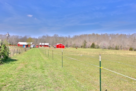 Beautiful Farm in the Ozarks - image 38