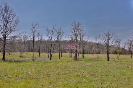 Beautiful Farm in the Ozarks - image 37