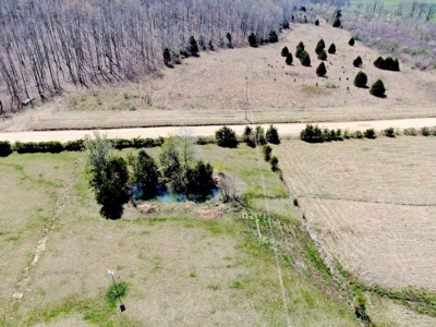 Beautiful Farm in the Ozarks - image 47