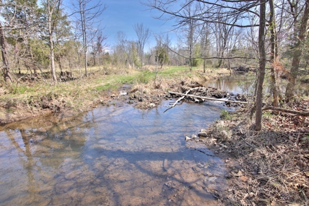 Beautiful Farm in the Ozarks - image 40