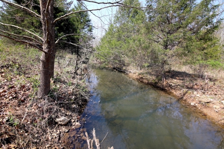 Beautiful Farm in the Ozarks - image 41