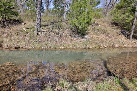 Beautiful Farm in the Ozarks - image 43
