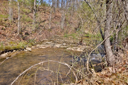 Beautiful Farm in the Ozarks - image 44