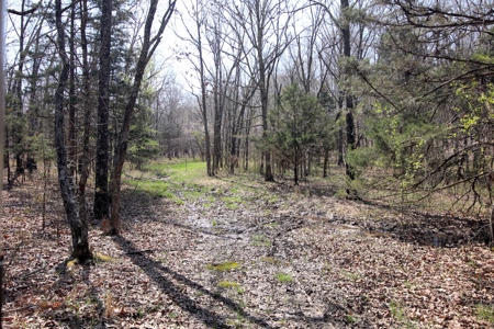 Beautiful Farm in the Ozarks - image 36