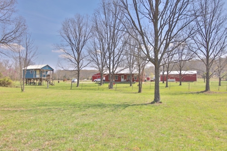 Beautiful Farm in the Ozarks - image 4