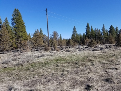 Northern, CA/Rural Acreage/Domestic Well/Seller Financing - image 8