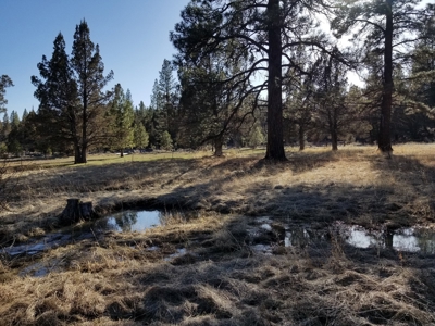 Northern, CA/Rural Acreage/Domestic Well/Seller Financing - image 19