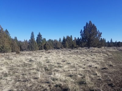 Northern, CA/Rural Acreage/Domestic Well/Seller Financing - image 28