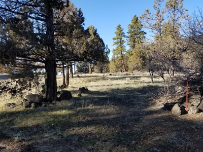 Northern, CA/Rural Acreage/Domestic Well/Seller Financing - image 16