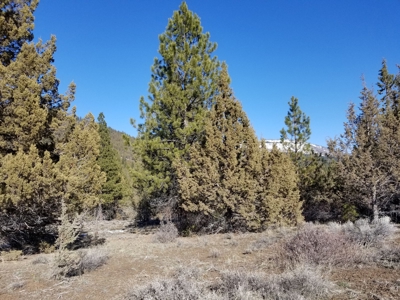 Northern, CA/Rural Acreage/Domestic Well/Seller Financing - image 6