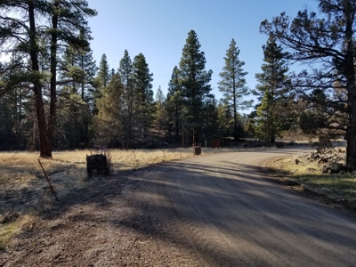 Northern, CA/Rural Acreage/Domestic Well/Seller Financing - image 18