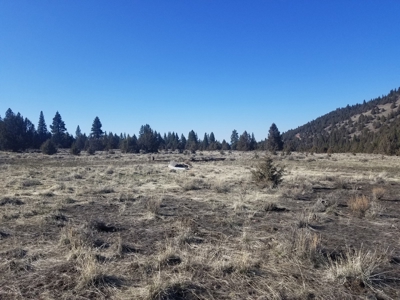 Northern, CA/Rural Acreage/Domestic Well/Seller Financing - image 26