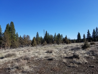 Northern, CA/Rural Acreage/Domestic Well/Seller Financing - image 7
