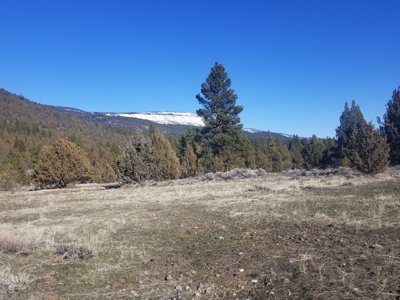 Northern, CA/Rural Acreage/Domestic Well/Seller Financing - image 2