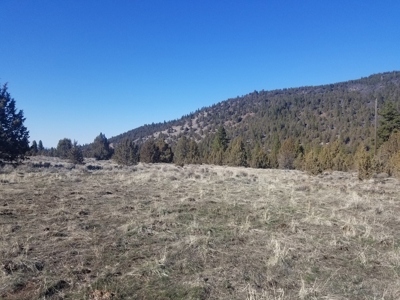Northern, CA/Rural Acreage/Domestic Well/Seller Financing - image 25