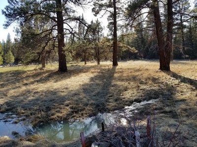 Northern, CA/Rural Acreage/Domestic Well/Seller Financing - image 1